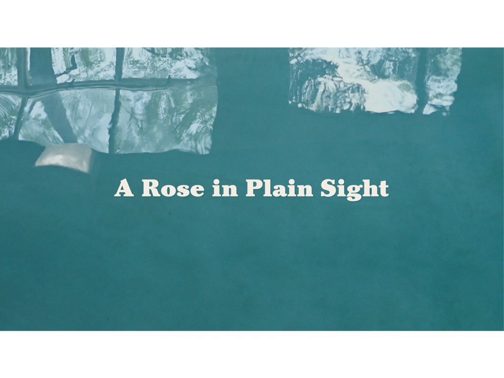 A rose in plain sight short documentary still