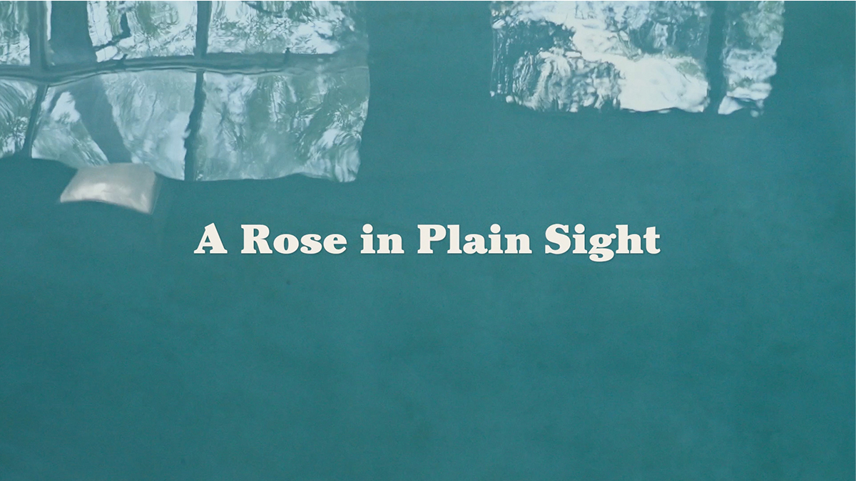 A rose in plain sight short documentary still